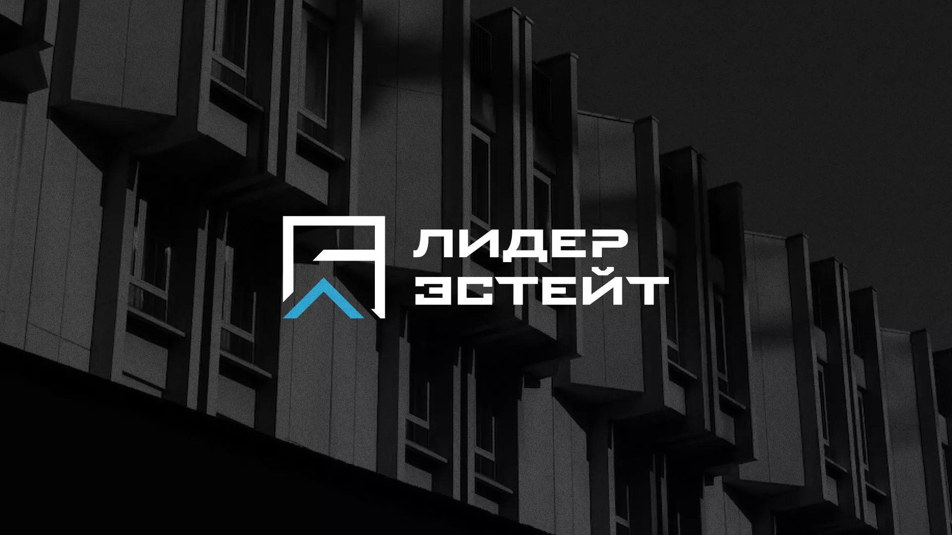 Разработка логотипа агентства недвижимости «Лидер Эстейт» в Валуйках